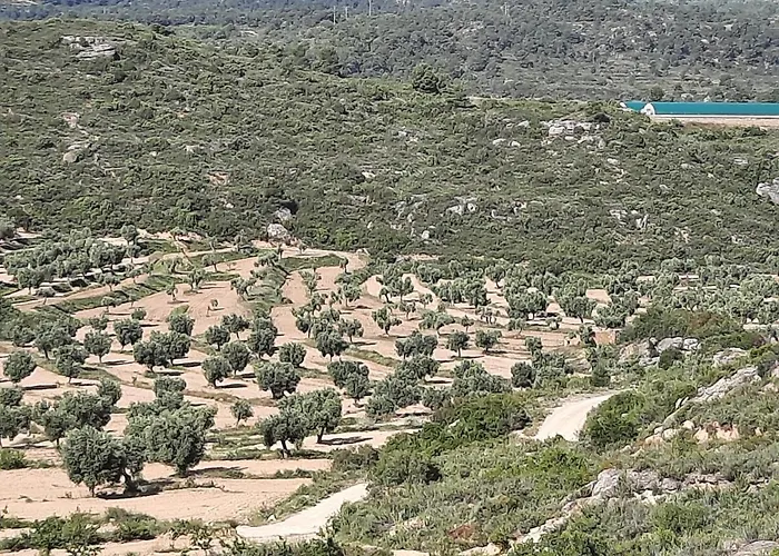 Campo Golden Heritage