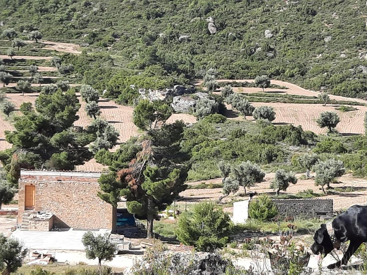 Campo Golden Heritage * Maella